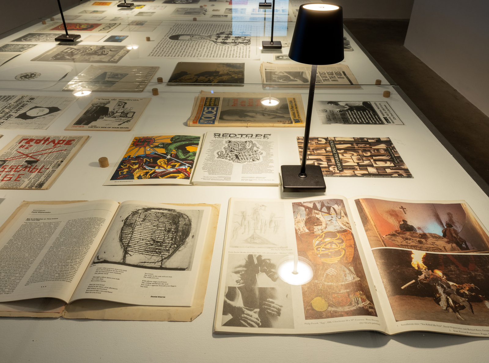 David Wojnarowicz: Ephemera & Film - coleção moraes-barbosa - Exhibitions - PPOW