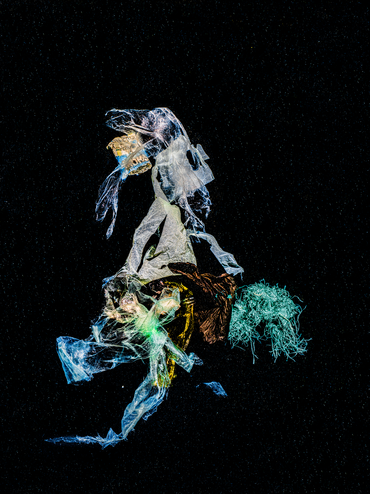 Detritus from the ocean is colorfully captured against a black background.