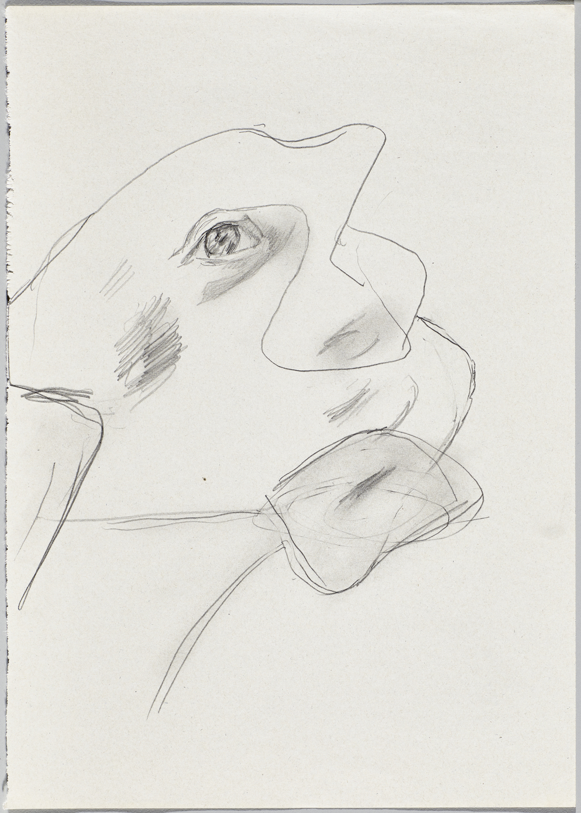 Maria Lassnig, Ohne Titel, 1990-1999