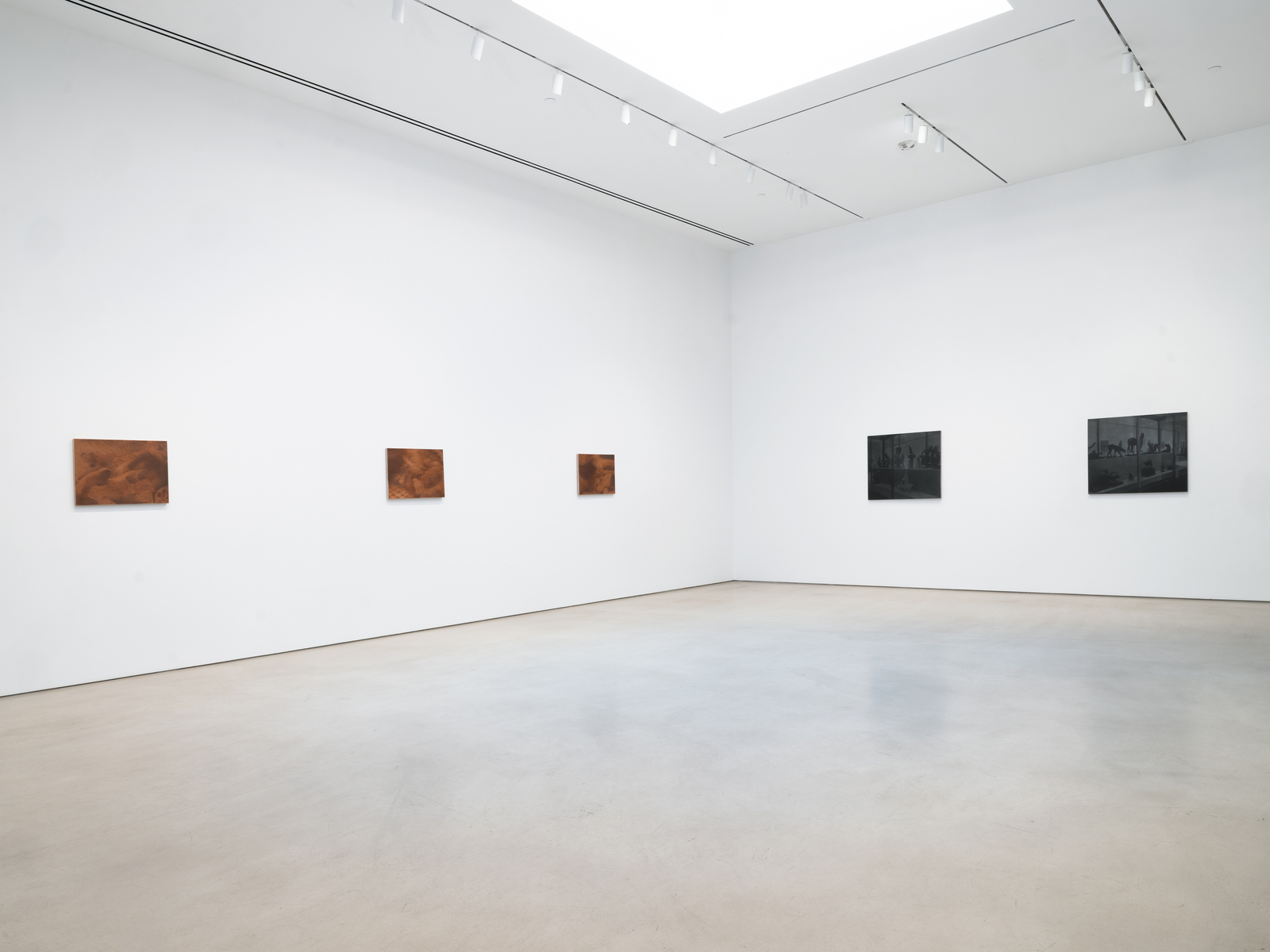 Installation view, Troy Brauntuch, Petzel, 2026.