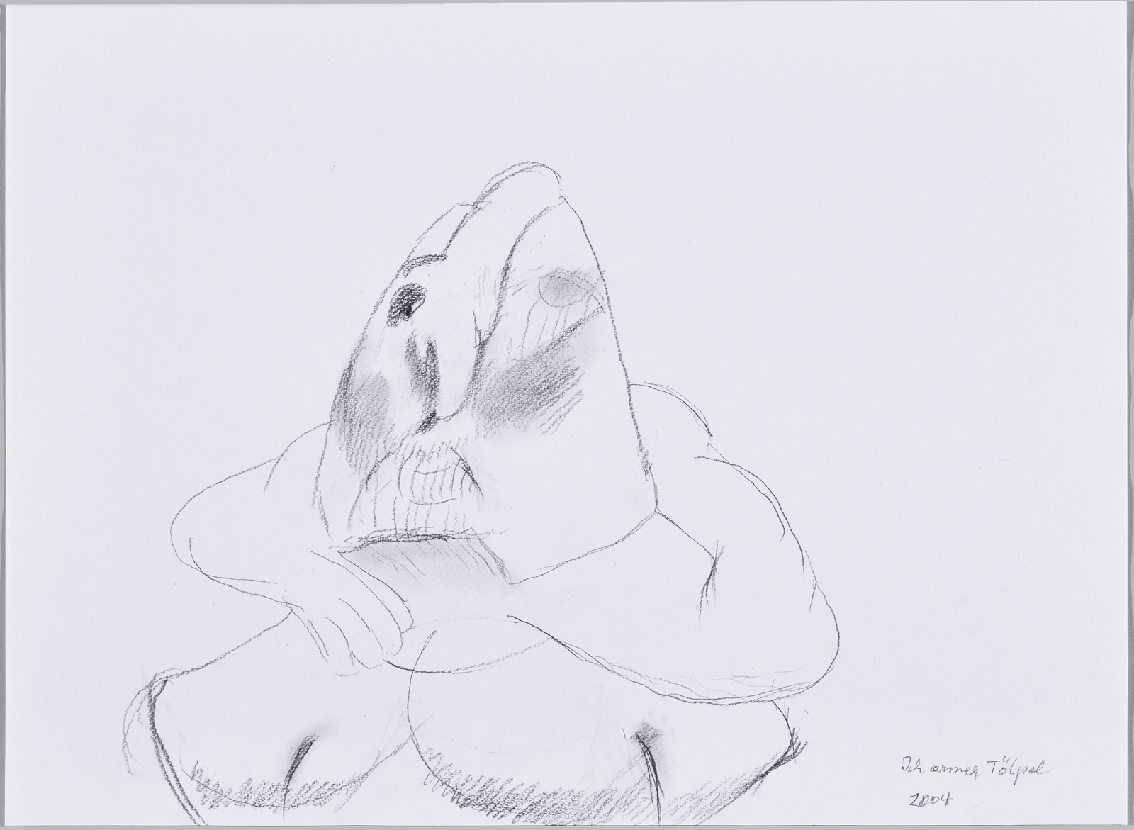 Maria Lassnig, Ich armer T&ouml;lpel (Poor Fool Me), 2004