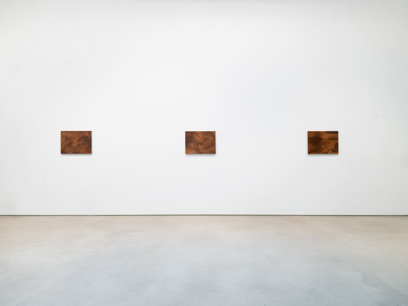 Installation view, Troy Brauntuch, Petzel, 2026.