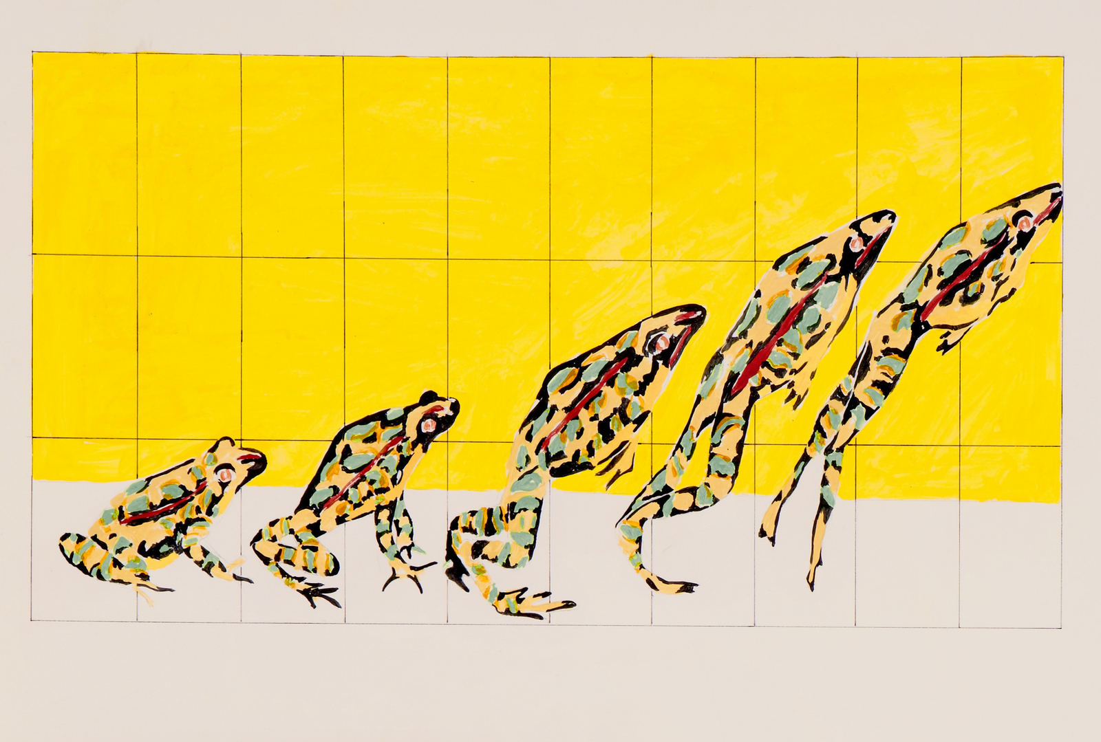 Nancy Graves -  - Viewing Room - Mitchell-Innes & Nash