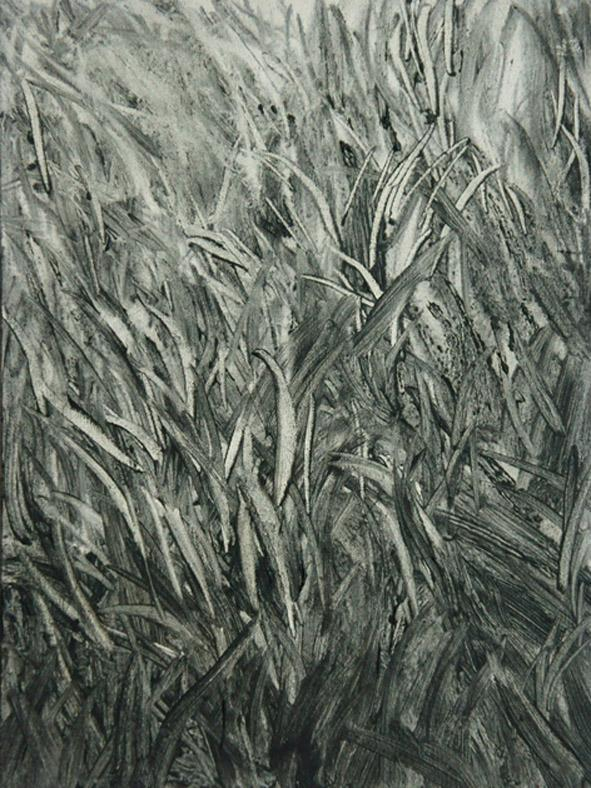 Image of SHI ZHIYING's 石至莹 Grass 草, 2010