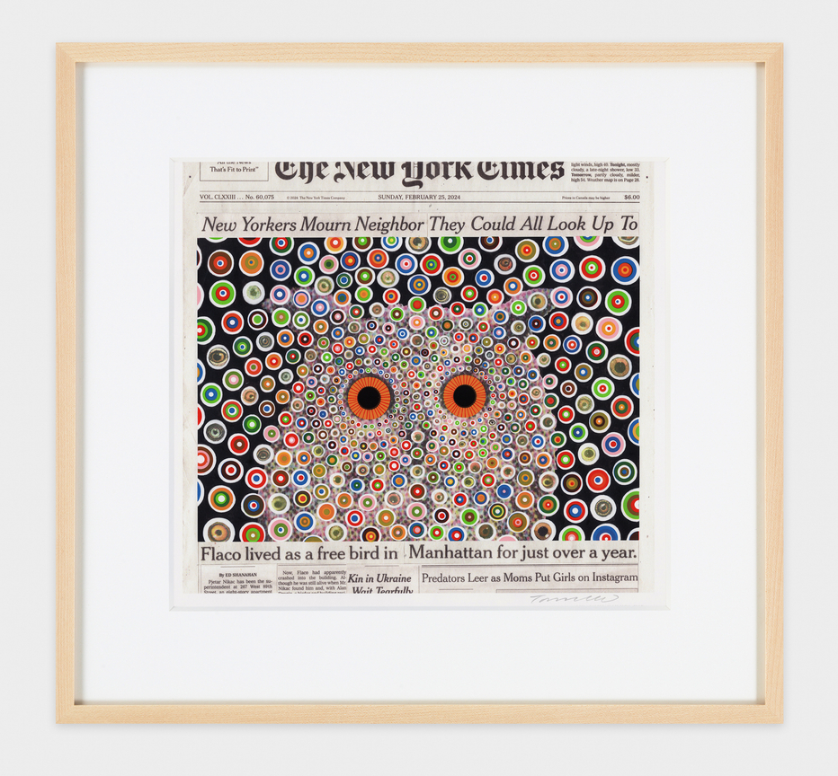 Image of FRED TOMASELLI's Flaco, February 25, 2024, 2024