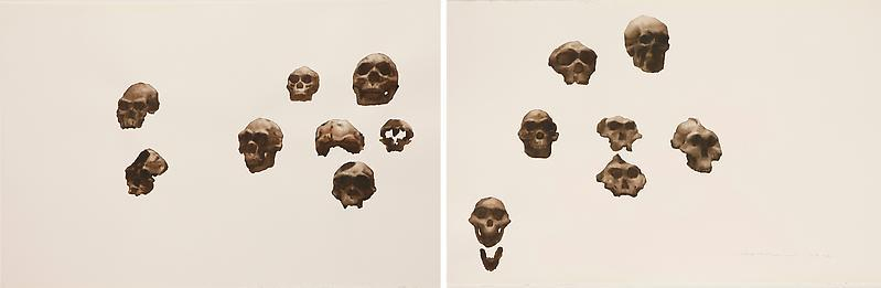 Image of GUO HONGWEI's 郭鸿蔚 Still Life #7 生物 #7, 2010