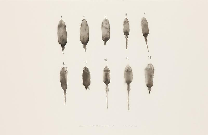 Image of GUO HONGWEI's 郭鸿蔚 Still Life #4 生物 #4, 2010