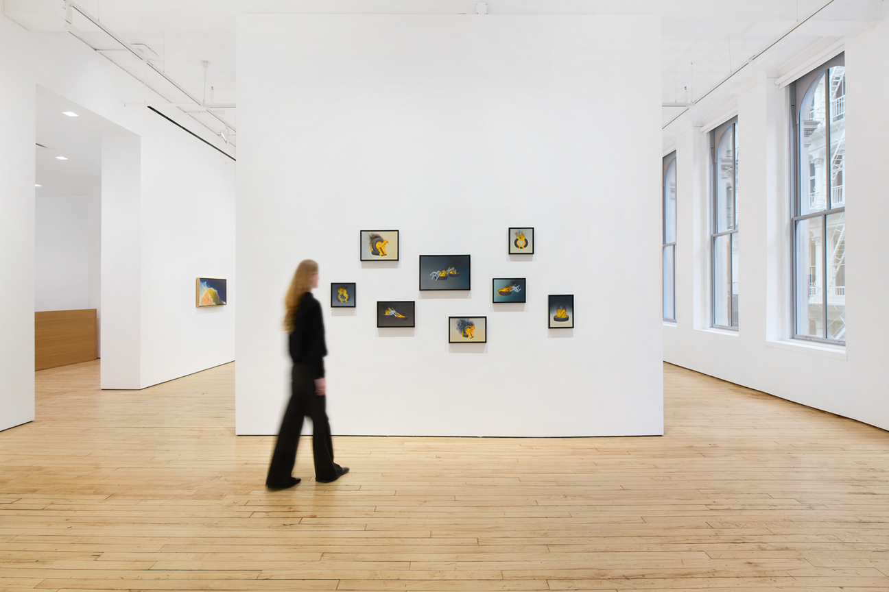 Installation view, Bruce Richards, Silent Sirens,&nbsp;James Cohan, 52 Walker St, New York, NY, February 20 - April 4, 2026.