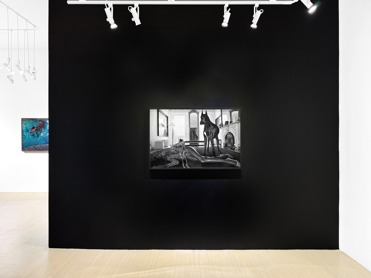 &nbsp;, Installation view