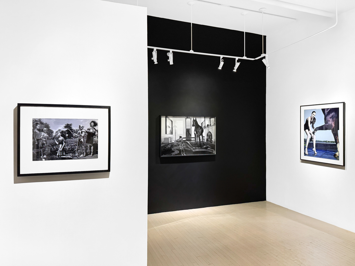 &nbsp;, Installation view