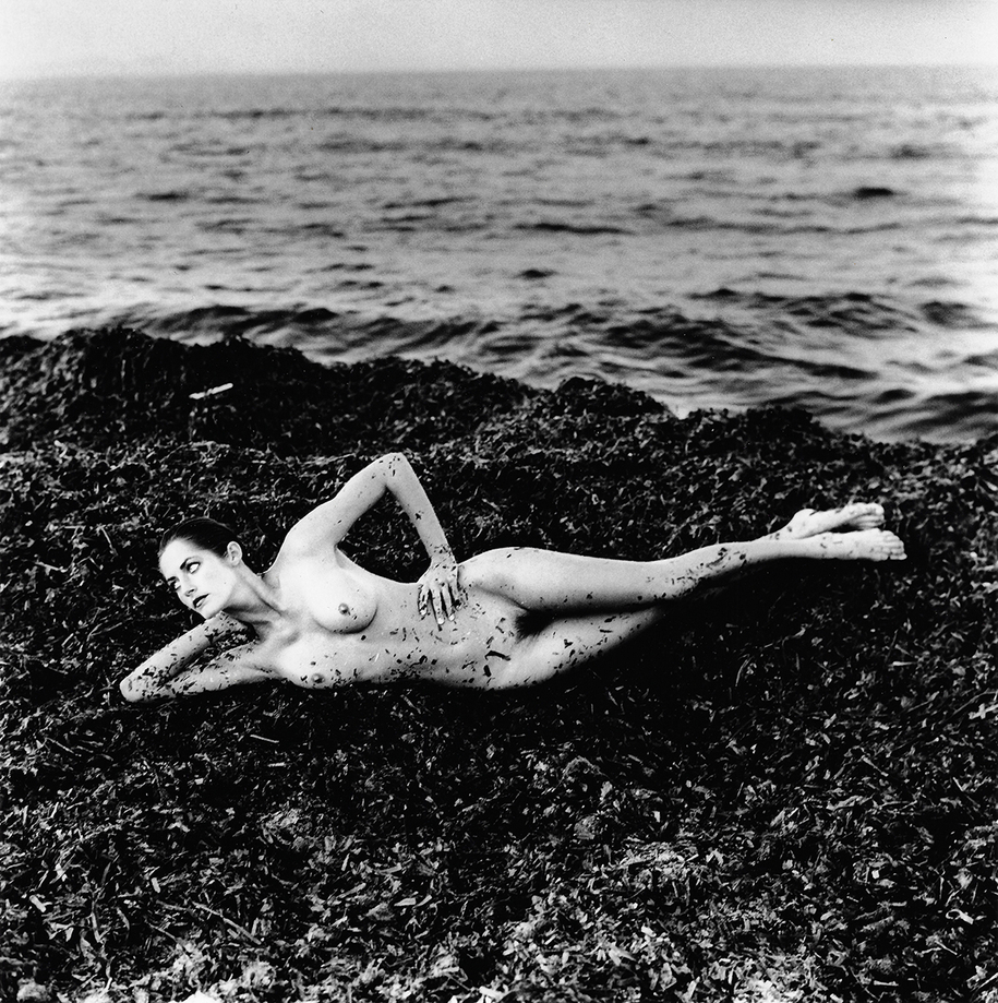 Helmut Newton, Nude in Seaweed, Saint-Tropez, 1976