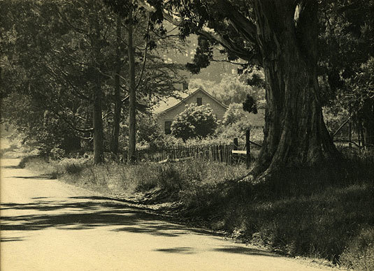 Sunspotted Road, vintage carbro print, 5 1/4 x 7 1/4 inches