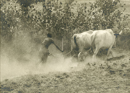 Dust, vintage chloride print, 6 1/4 x 8 inches