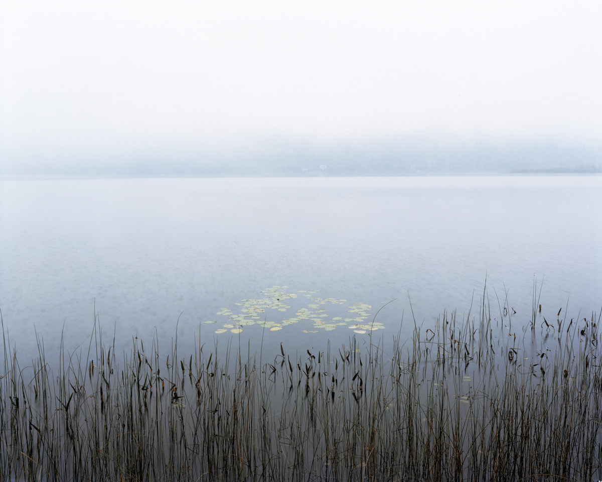 Virginia Beahan, Fog on Post Pond, Lyme, N.H.