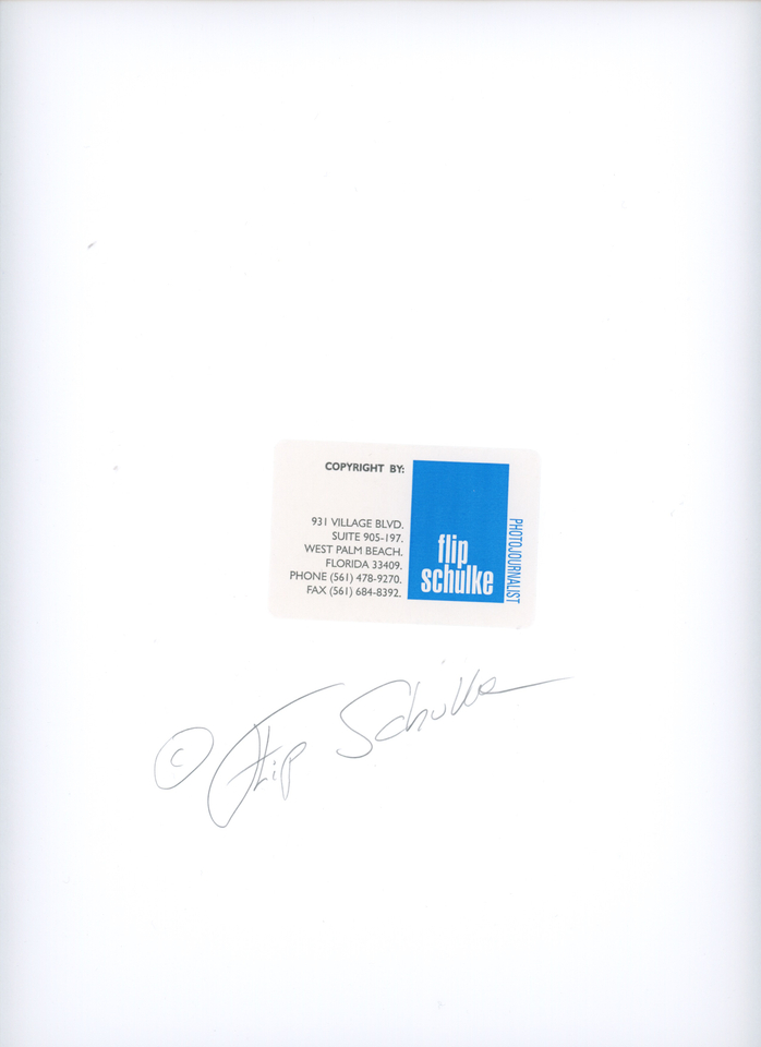 FLIP SCHULKE (AMERICAN, 1930 &ndash; 2008)