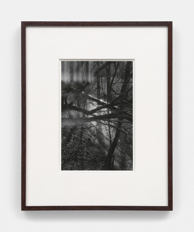 Torbj&oslash;rn R&oslash;dland, Bones in the Canal, 2024 - 2026