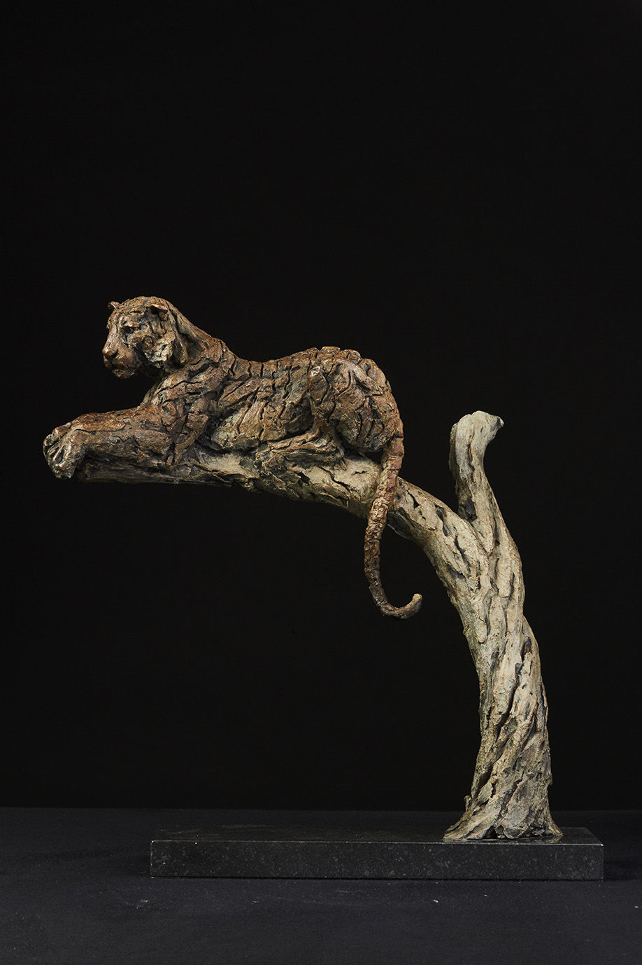 Hamish Mackie, Tiger in Tree, 2016