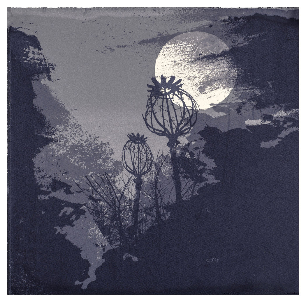 Chitra Merchant, Vestige II, 2015