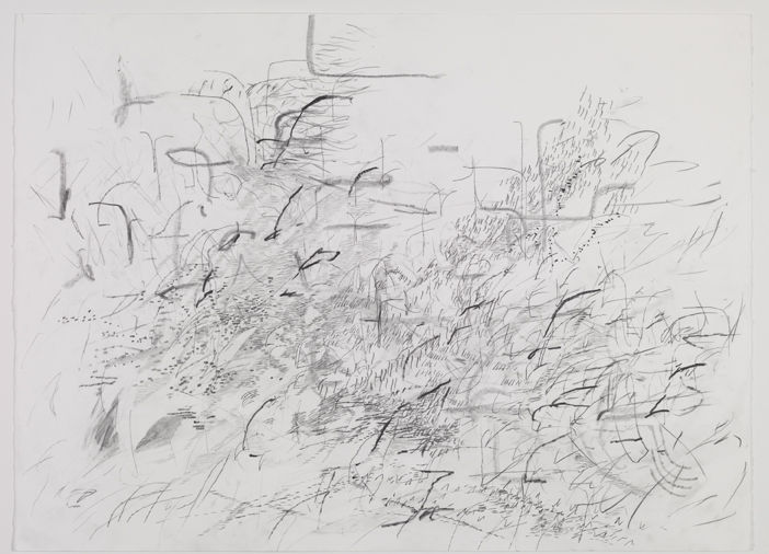 Julie Mehretu Mind Breath Drawing, 2012