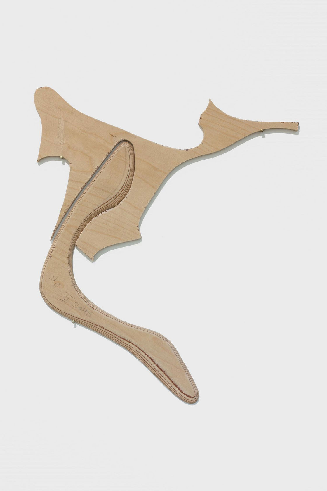 Gabriel Orozco Inner Cut: Shoe II, 2014