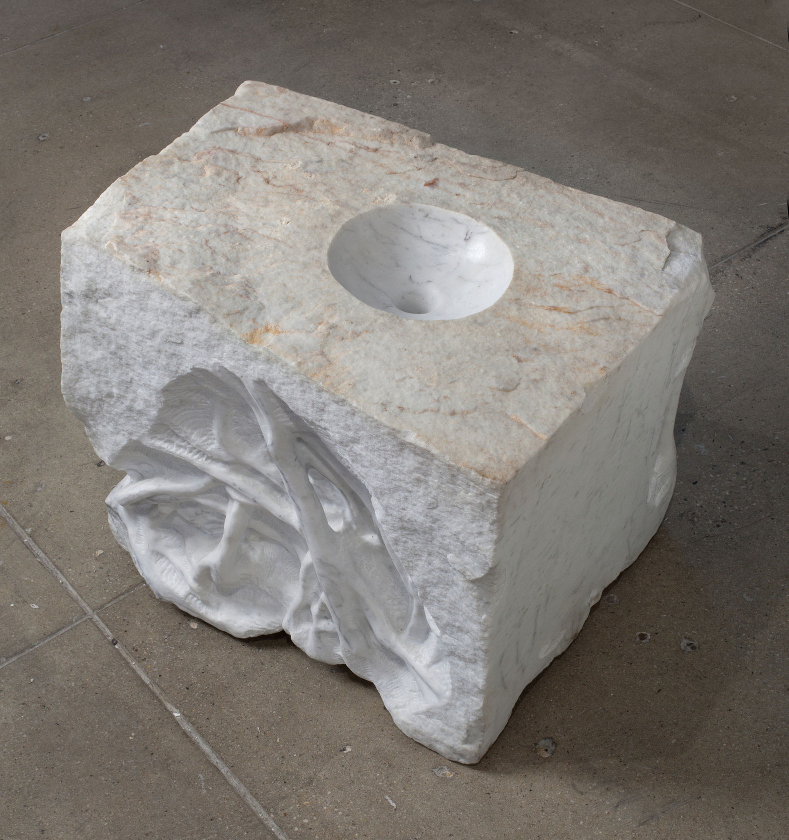 Giuseppe Penone Anatomia - raccogliere gli sguardi 4, 1992