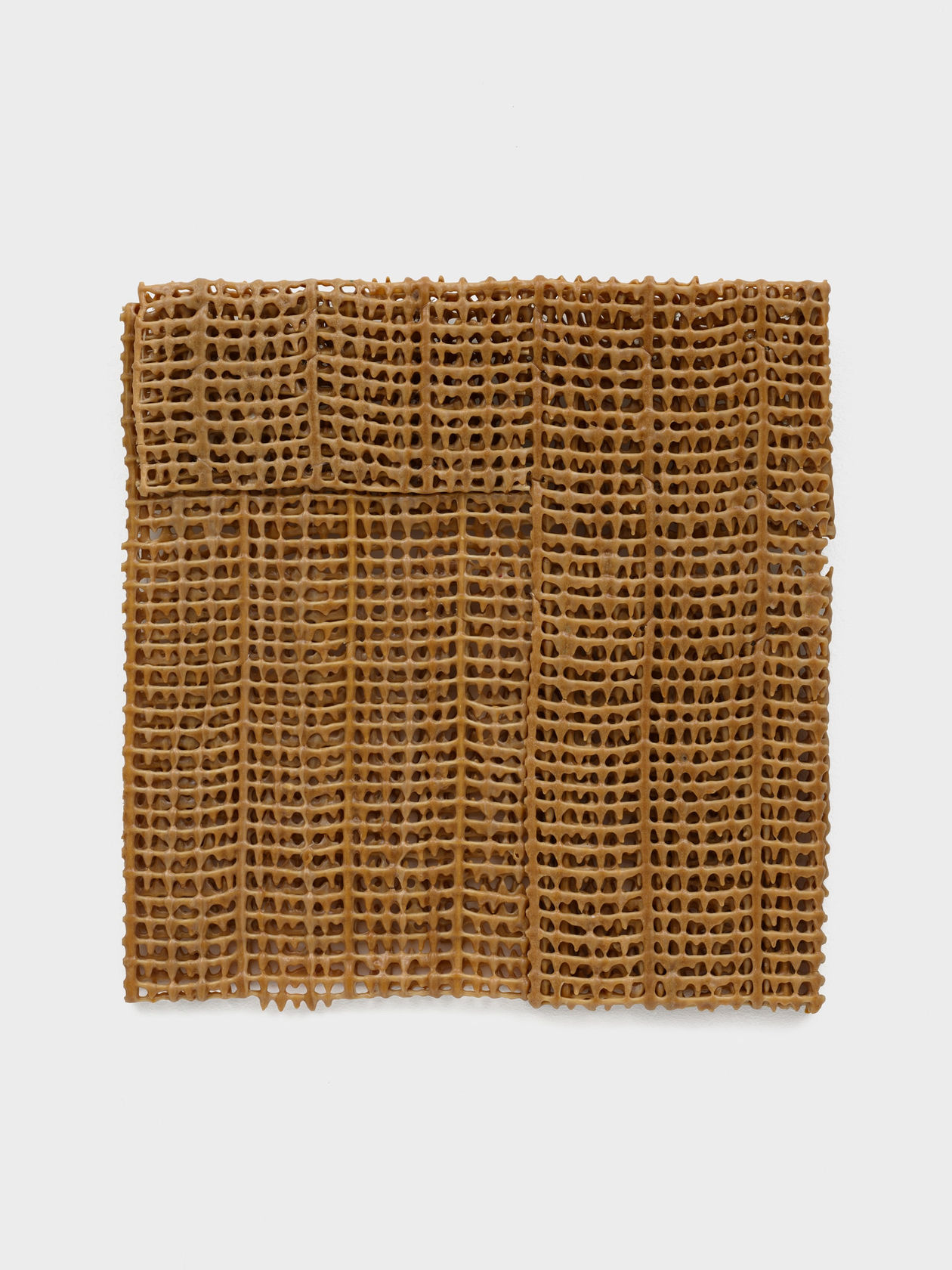 Delcy Morelos The Double Negation (La doble negación), 2008 Acrylic on cotton thread 20 7/8 x 20 1/2 x 1...