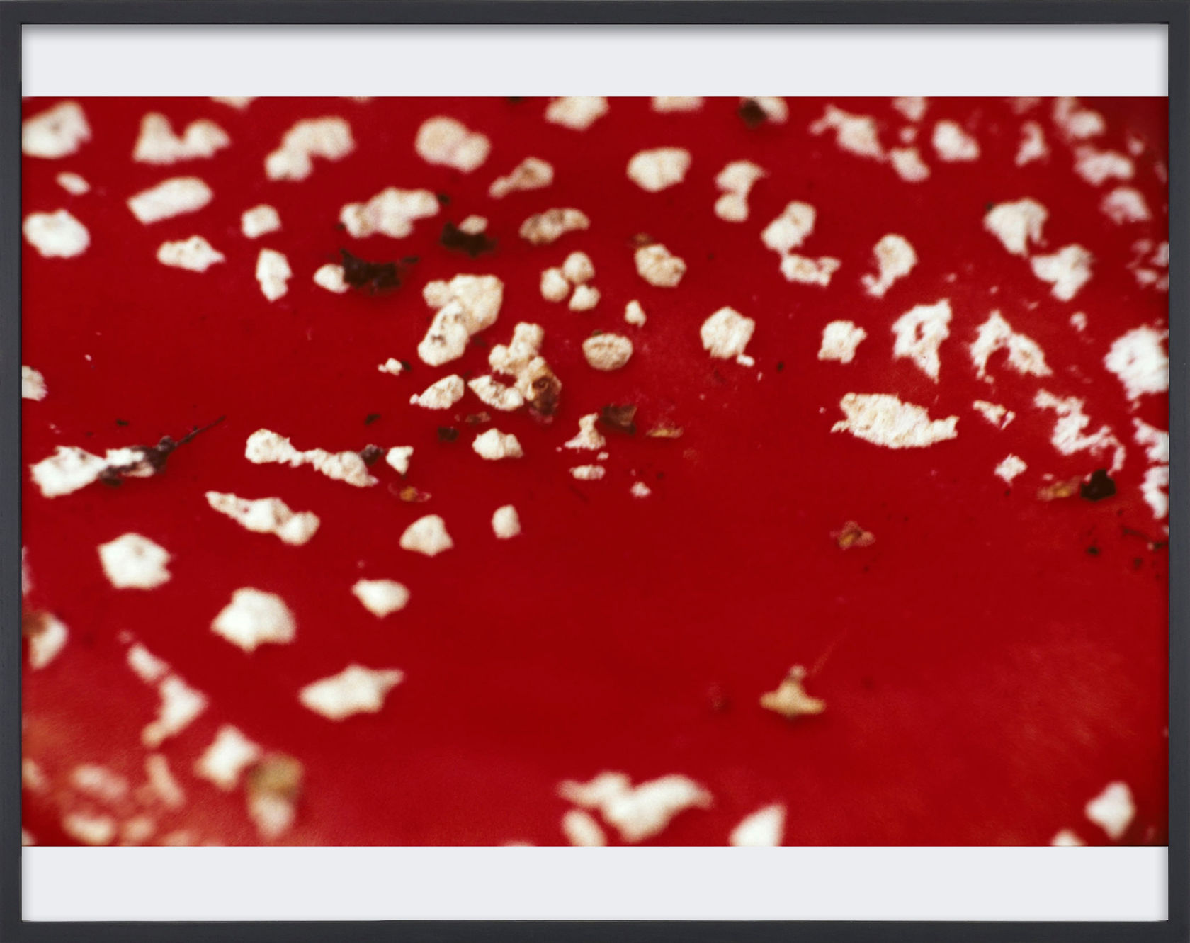 Lothar Baumgarten Spiegelvernunft (Mirror Reason), 1972