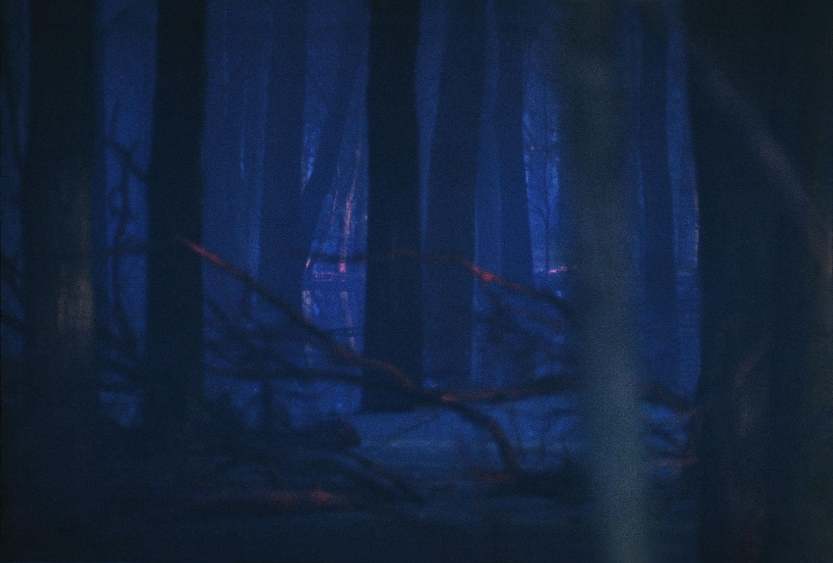 Lothar Baumgarten El Dorado (Amazonas), 1968-1973