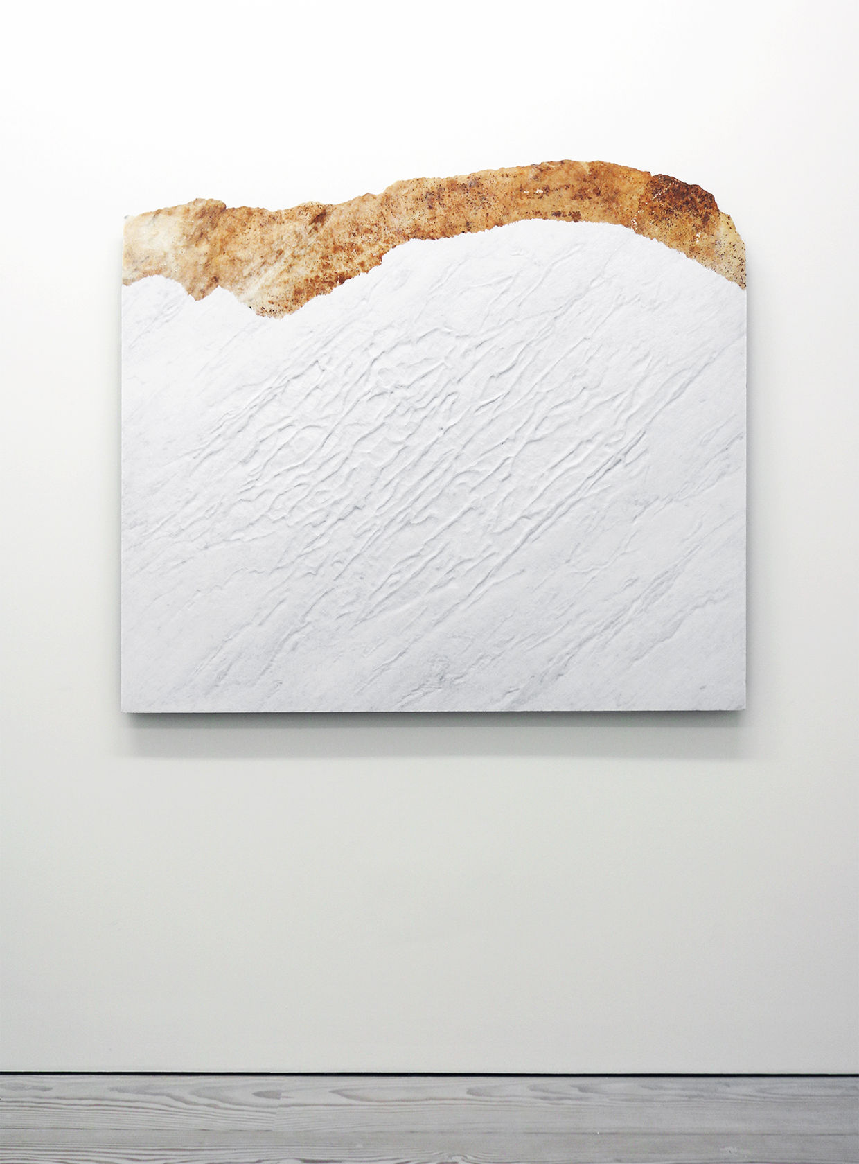 Giuseppe Penone Pelle del monte, 2012