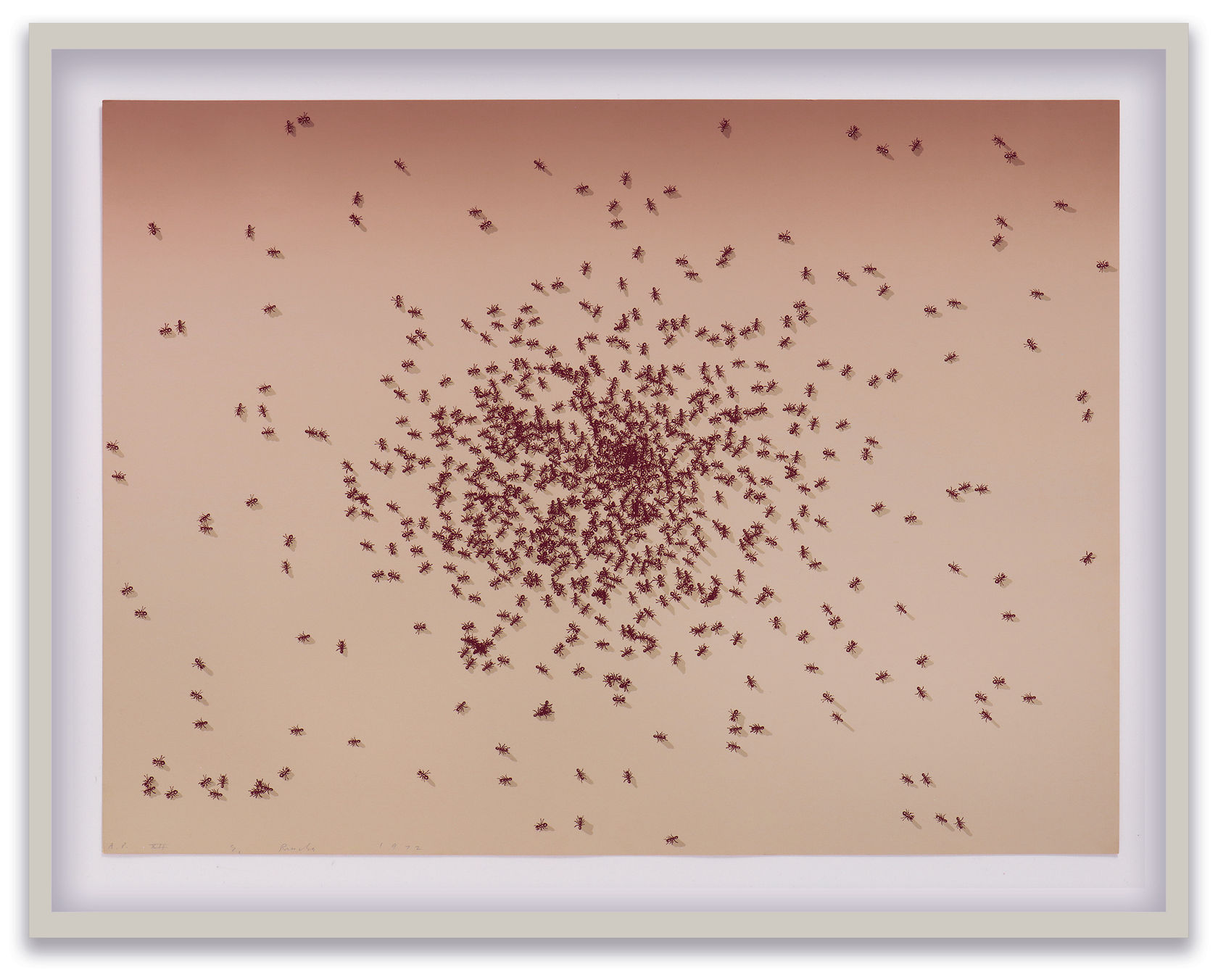 Ed Ruscha Insects, 1972 6 screenprints in raw linen-covered box with plastic cover encapsulating brownish-red soil Sheet: 20 1/8 x...