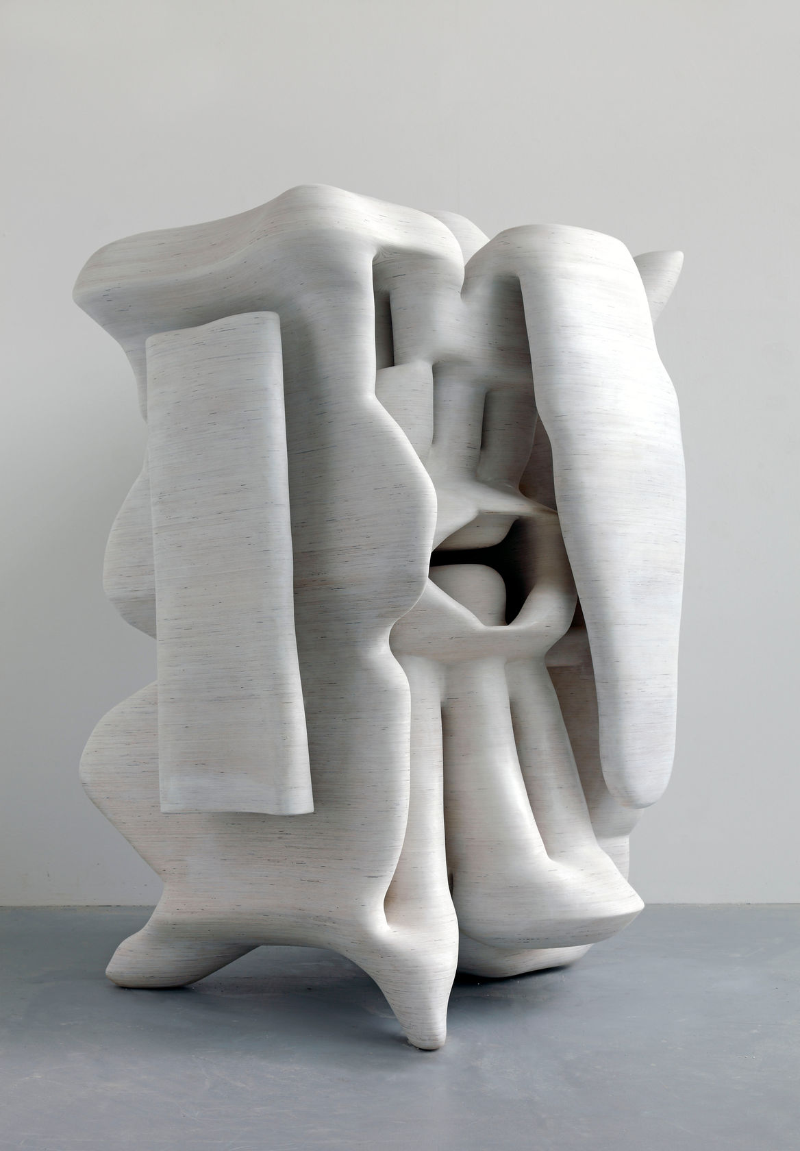 Tony Cragg A Head, I Thought, 2011