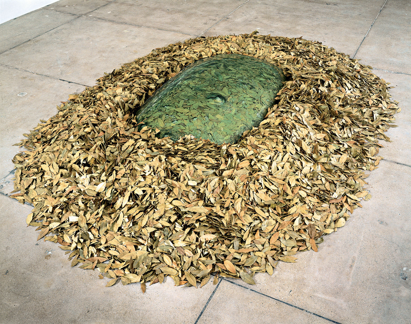 Giuseppe Penone Unghia e foglie di alloro, 1989 Glass, Laurel leaves Glass: 9 1/2 x 54 1/2 x 36 1/2...