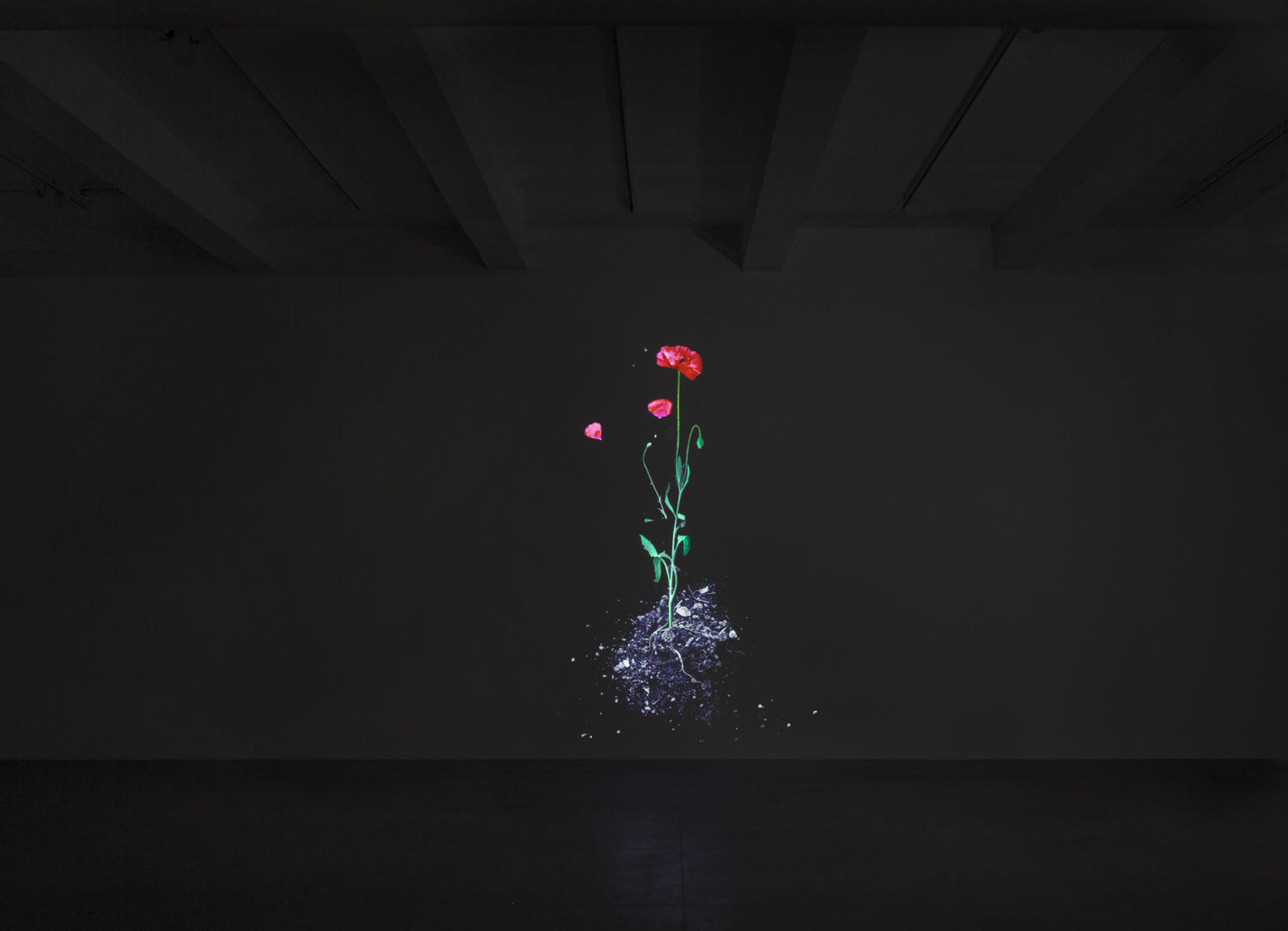 James Coleman Still Life, 2013-2016 Digital projection; continuous, color, silent Edition of 3 plus 1 Technical Standard Archive Copy and...