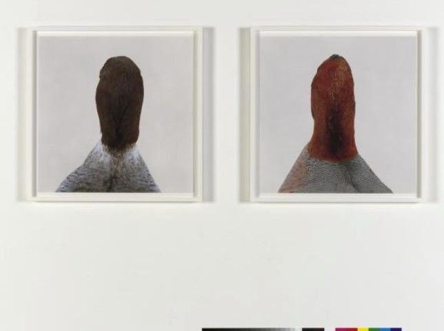 Roni Horn Untitled, No. 13, 1998/2006