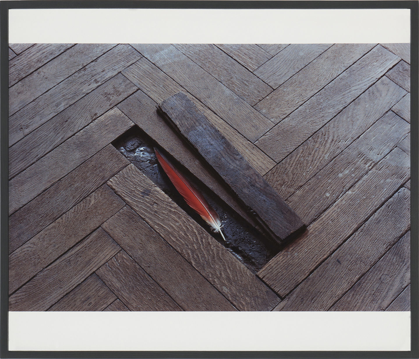 Lothar Baumgarten Kultur-Natur (Culture-Nature), 1971