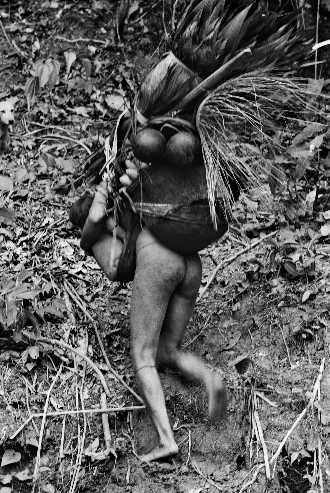 Lothar Baumgarten Makunaíma (River-Crossing) 11 edition of 5 + 2 AP; edition 1/5, 1979