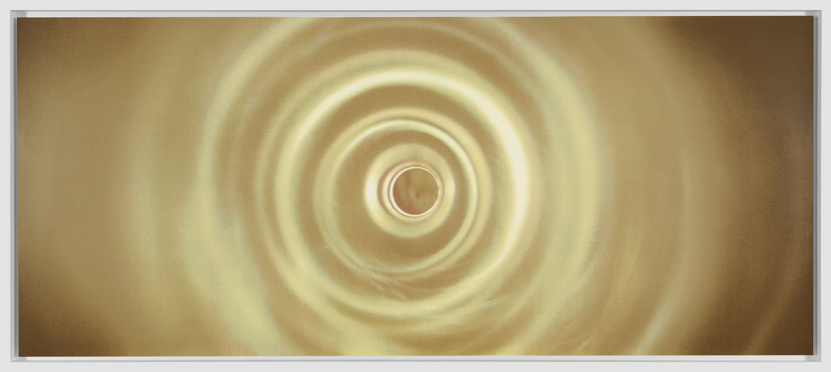 Tacita Dean Paradise: Empyrean, 2021 18 color screenprint with a satin seal varnish on Somerset Satin Tub 410g. Print: 24...