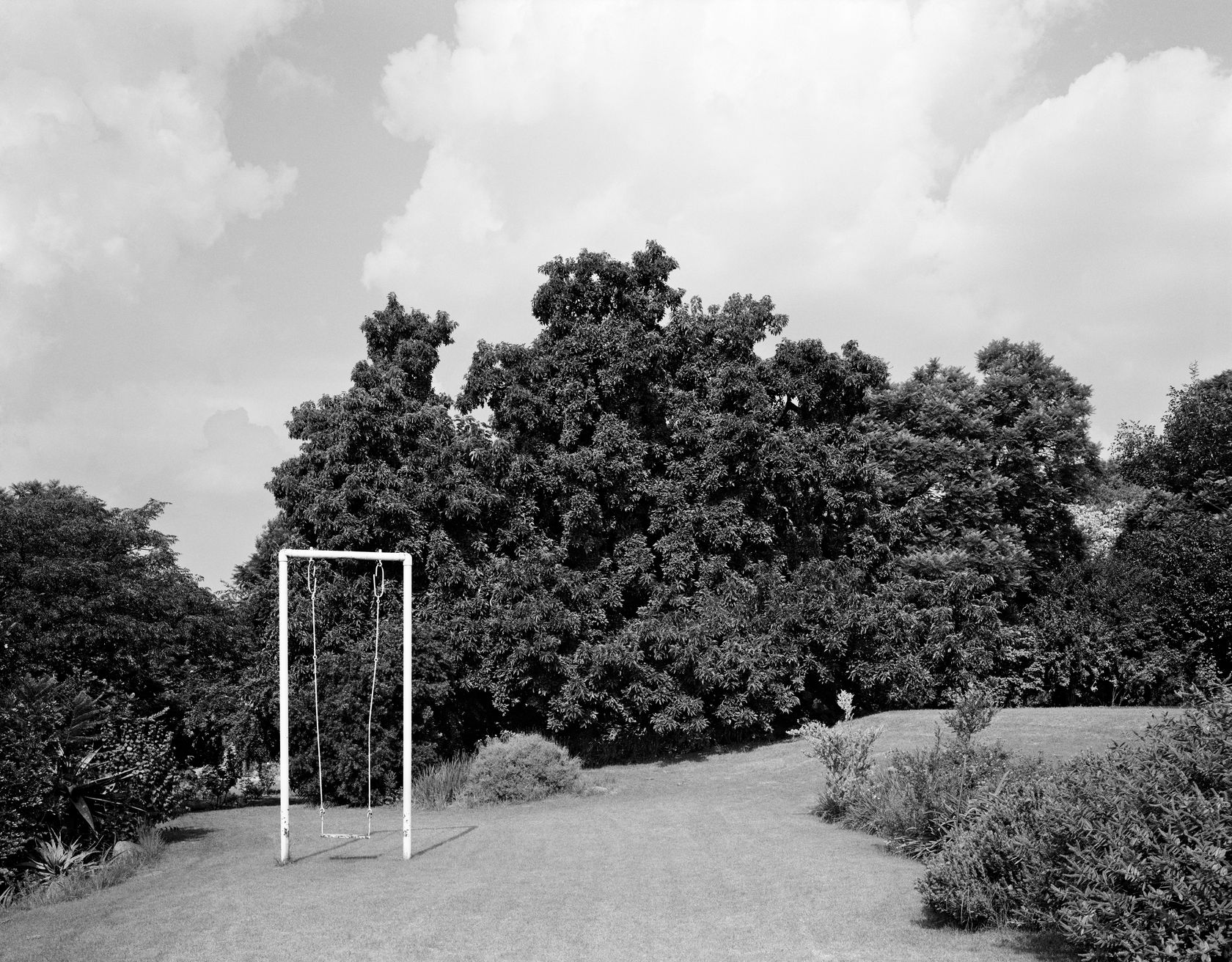David Goldblatt The garden of Felicia and Sydney Kentridge, Houghton. 1978, printed in 2009