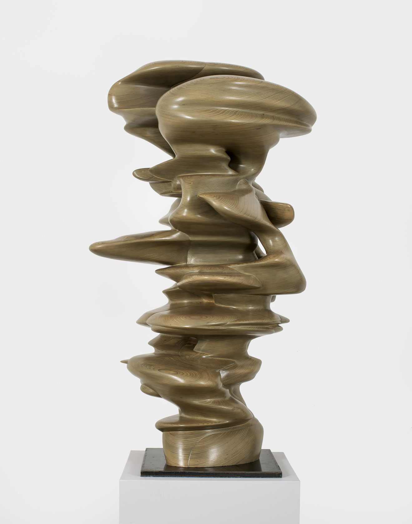 Tony Cragg, Level head III, 2017