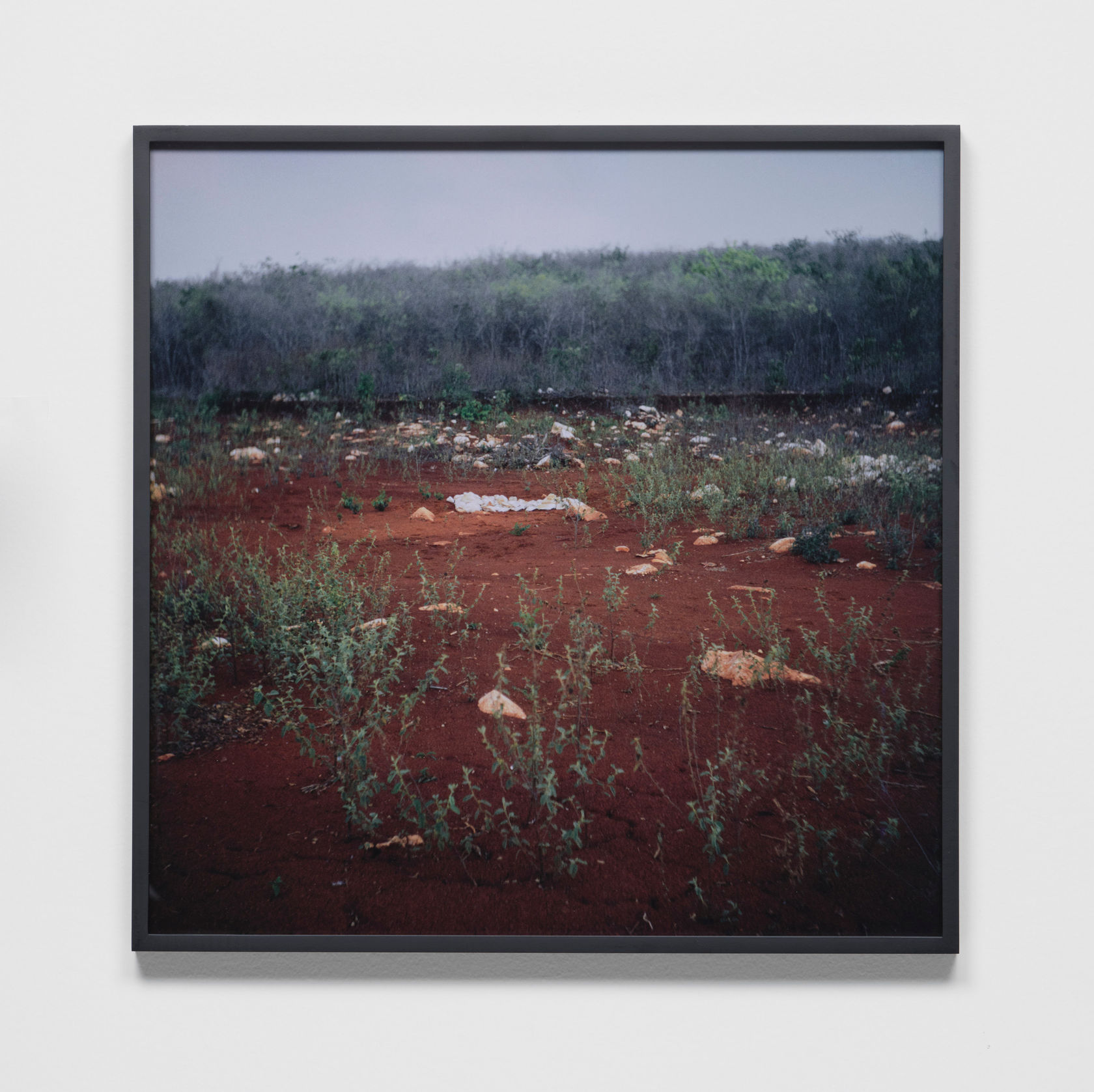 Robert Smithson Hypothetical Continent (Icecap of Gondwanaland), 1969 Four 126 format chromogenic slides