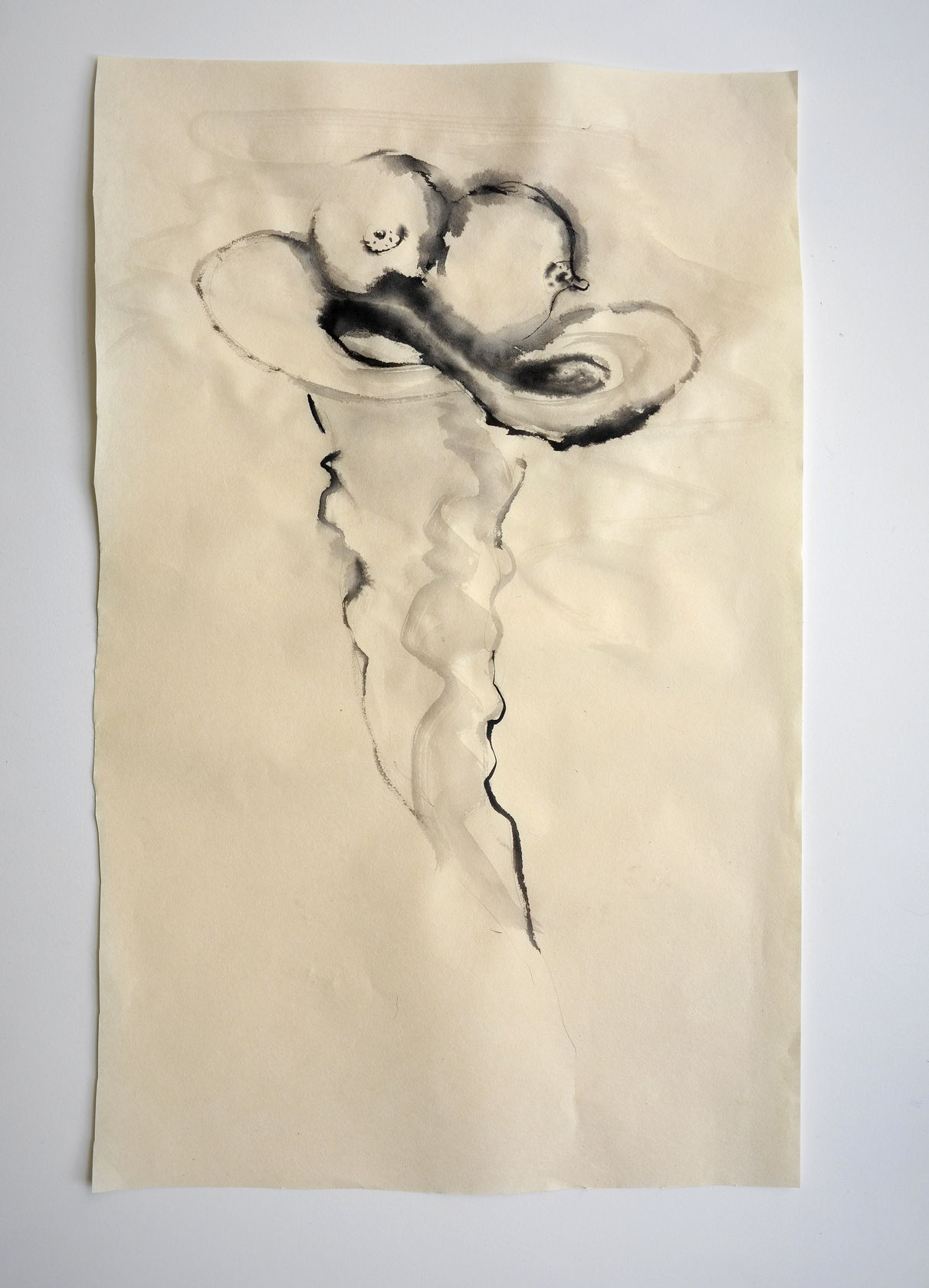 Annette Messager Seins-infini, 2023 Acrylic on paper 26 3/4 x 16 7/8 in. (68 x 43 cm)