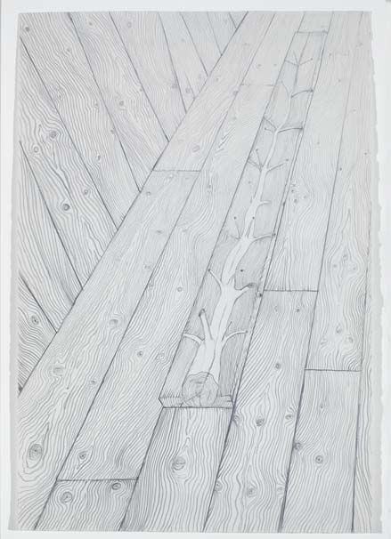 Giuseppe Penone Progetto per un 'albero di 15 anni', 1970