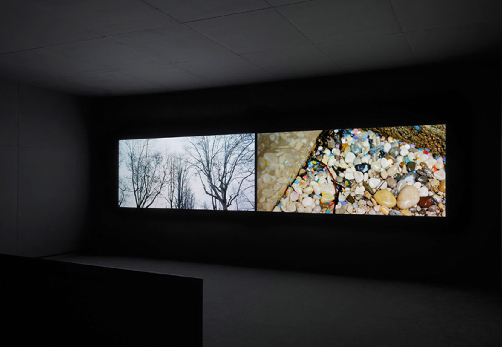 Steve McQueen Giardini, 2009