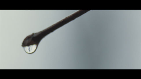 Steve McQueen Giardini, 2009