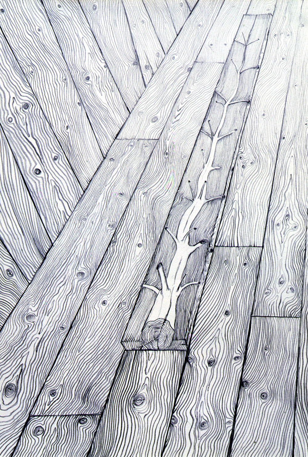 Giuseppe Penone Progetto per un 'albero di 15 anni', 1970