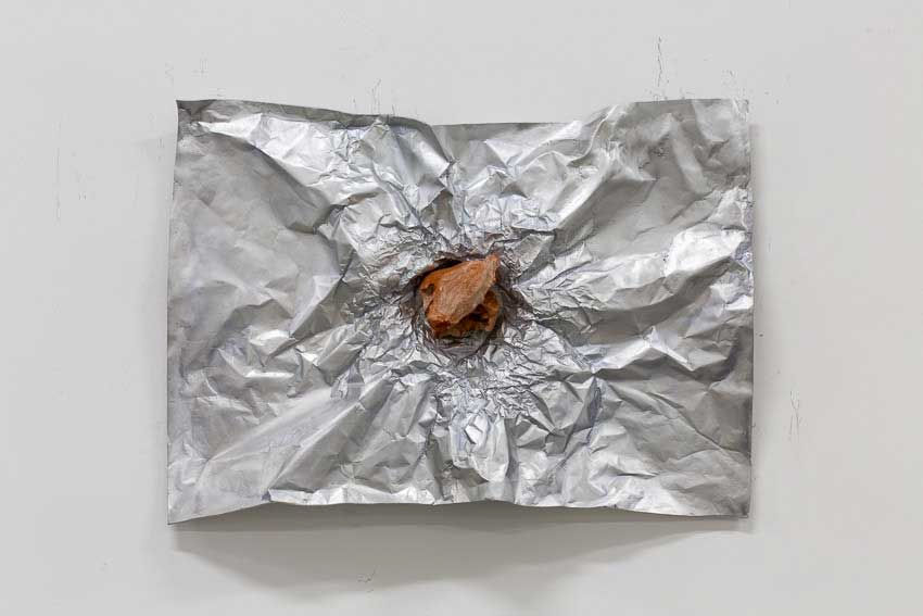 Giuseppe Penone Avvolgere la terra (To Enfold the Earth) (30), 2014