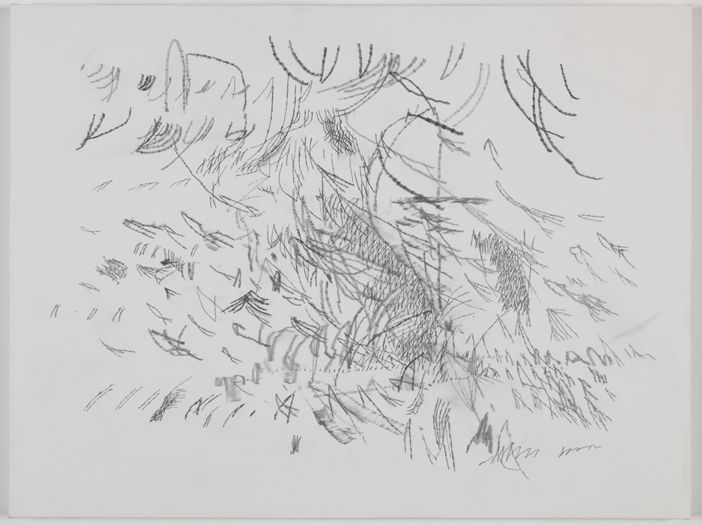 Julie Mehretu Untitled,, 2012