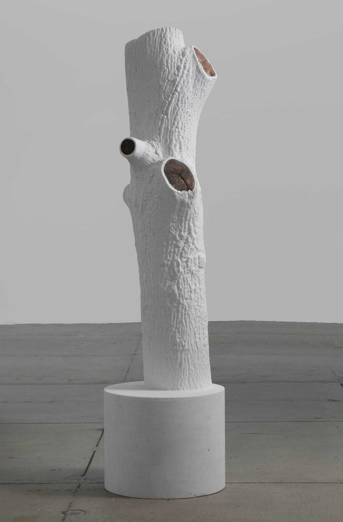 Giuseppe Penone Indistinti confini - Aternus (Indistinct Boundaries - Aternus), 2012