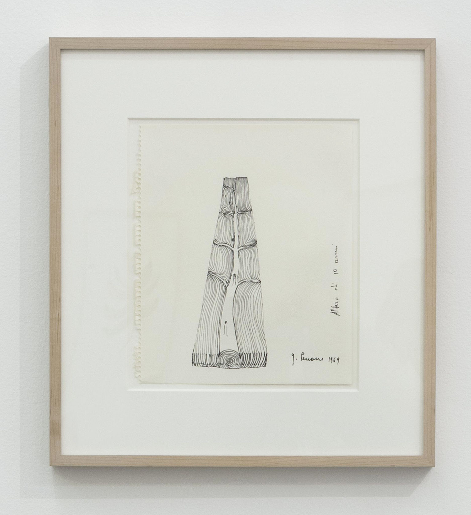 Giuseppe Penone Albero di 10 anni, 1969