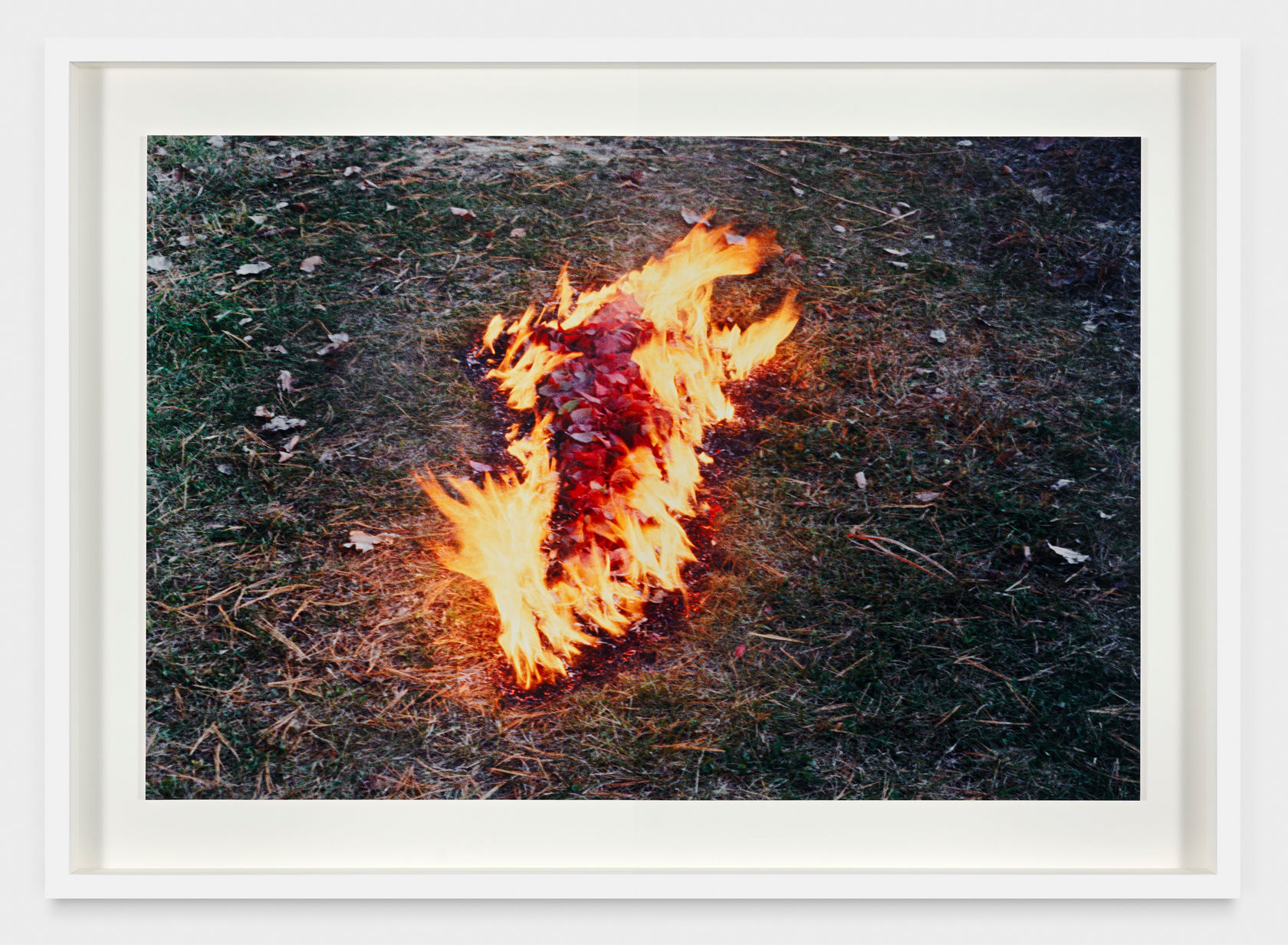 Ana Mendieta Untitled: Silueta Series, 1977 C-print 20 x 30 in. (50.8 x 76.2 cm) Edition of 12 plus 3...
